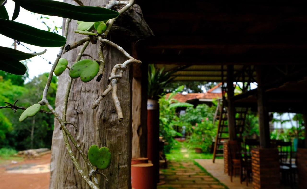 Plei Homestay&Café Pleiku Extérieur photo