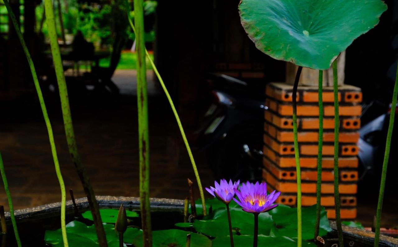 Plei Homestay&Café Pleiku Extérieur photo
