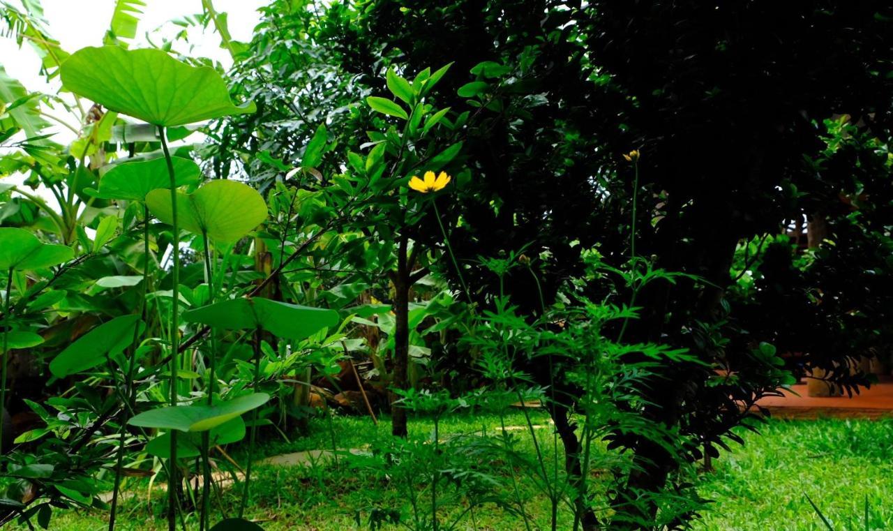 Plei Homestay&Café Pleiku Extérieur photo