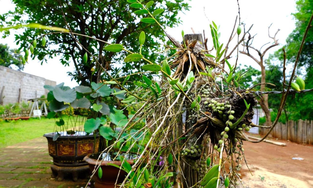 Plei Homestay&Café Pleiku Extérieur photo